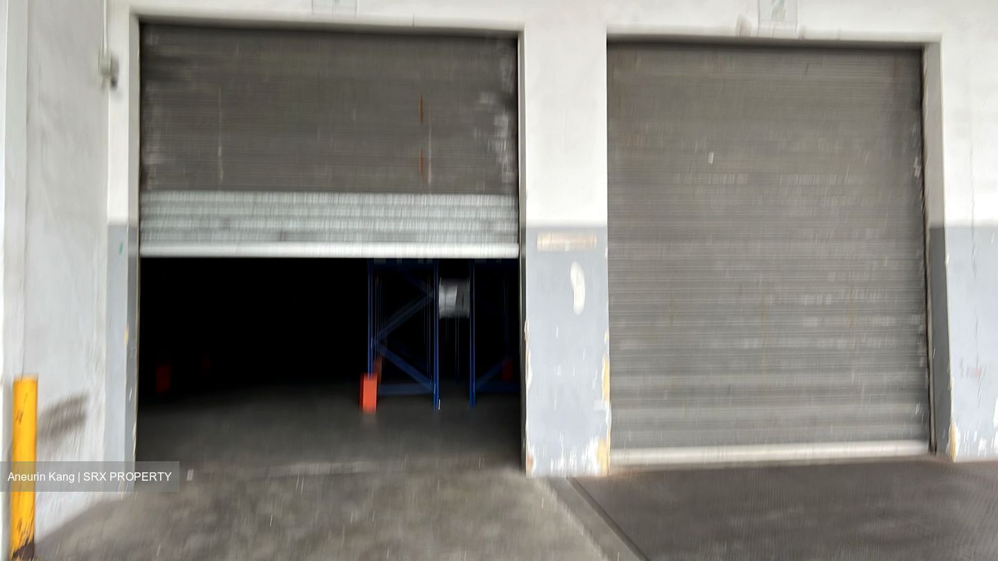 Logistech (D17), Warehouse #478503101